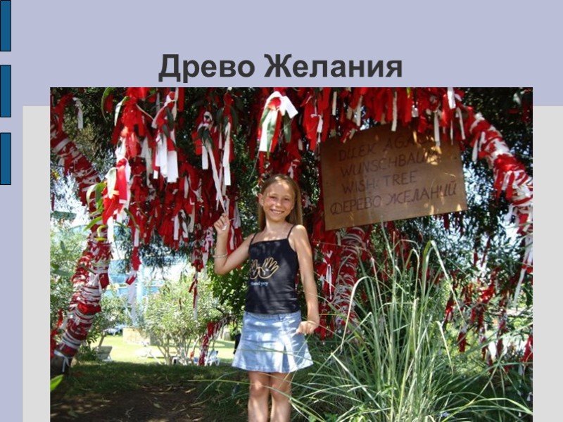 Древо Желания Древо Желания